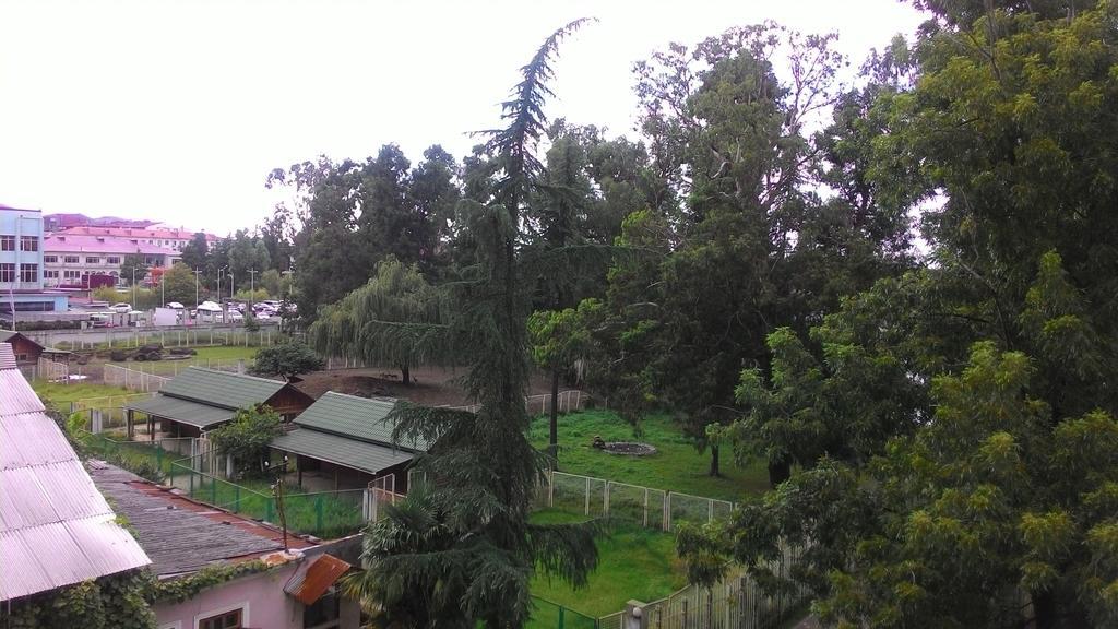Apartament Gia Batumi Eksteriør billede